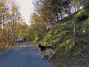 12 Partenza dal Canalino dei sassi in zona Foppelle di Camerata Cornello (1100 m)